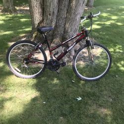 26” Mountain Bike