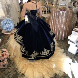 Quince Navy Blue Dress