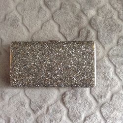 Clutch/ purse/ silver and studded
