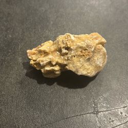Crystal/Rock that Looks Like a Animal Skull