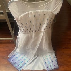 Elsa Costume