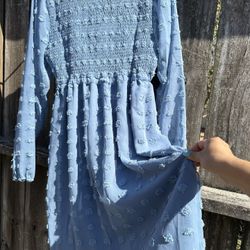 Blue Dress 
