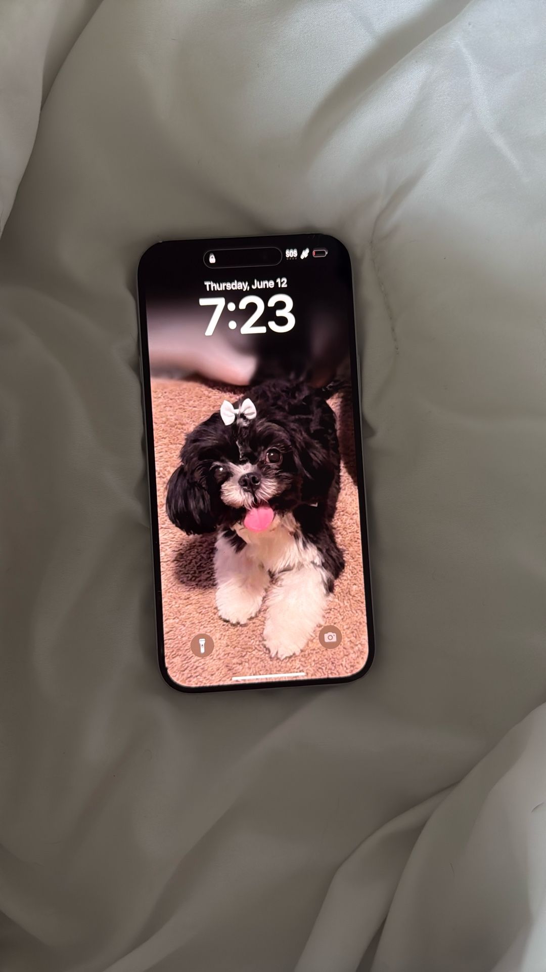 iPhone 15