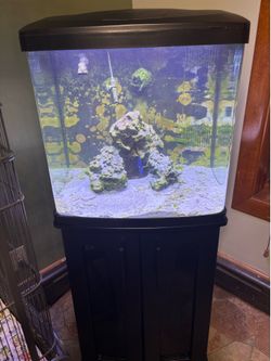 32 Bio Cube Led with stand