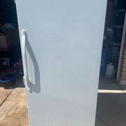 Upright Freezer 