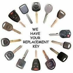 Transponder keys and Remotes