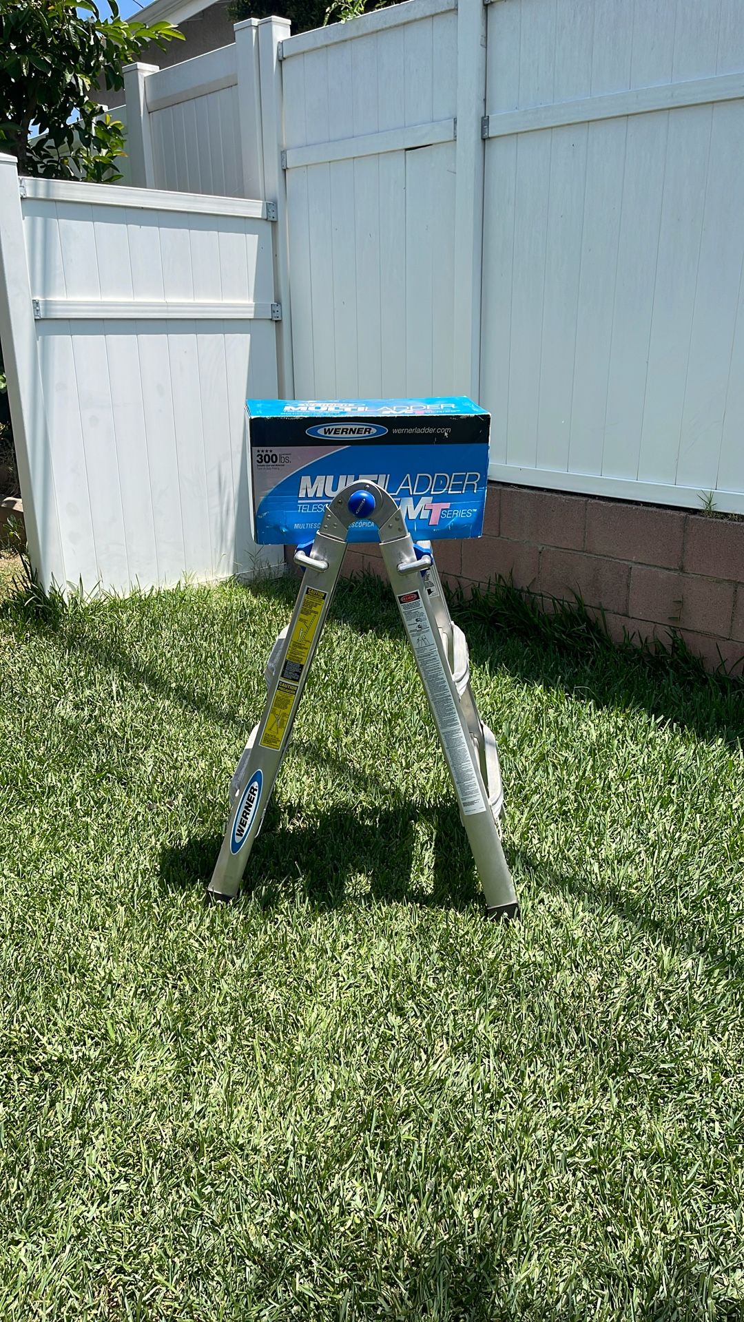 Werner Ladder