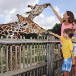 Zologico Zoo Tickets 