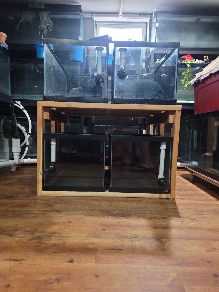 40 Gallon Breeder Aquarium/ Fish Tank
