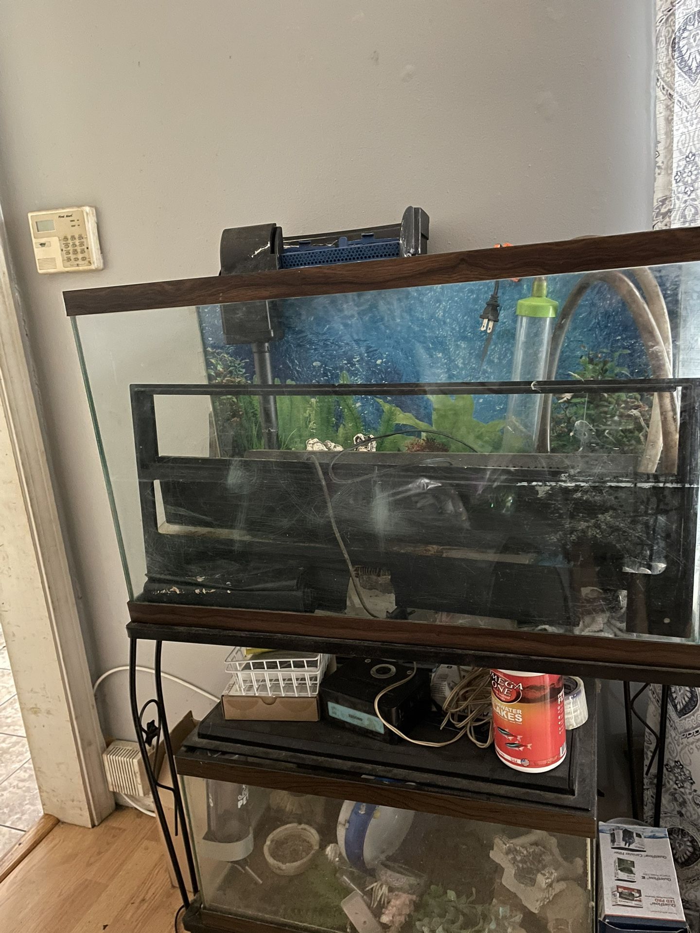 50 Gallon Fish Tank 