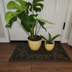 New Ceramic Planter Set 