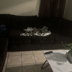 Pantalones Levis American Eagle 