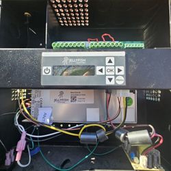 Jellyfish Permanent Lighting 