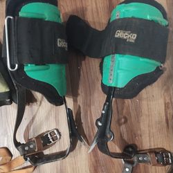 Climbing Gear For Trees 