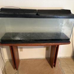 Fish Tank With Stand And Decor