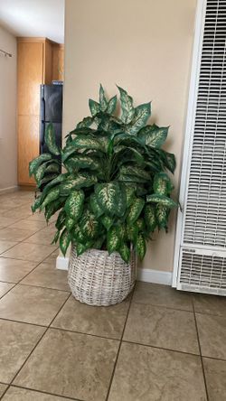 Big round artificial plant