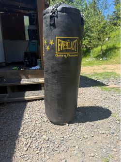 80Lb everlast punching bag