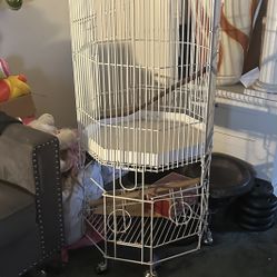 Big Bird Cage