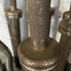 Barbell ( Promaxima )