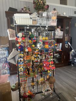 Small to medium bird cages available great for parakeets, lovebirds, canaries, parakeets and larger for cockatiels or conures. Have 2 small carriers a