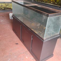 Fish Tank 125