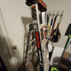 Little Giant 6 Ft Step Ladder $50