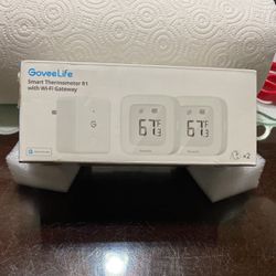 Smart Thermometer R1 With Wi-Fi Gateway 