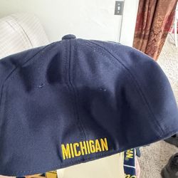 New Fitted Michigan hat