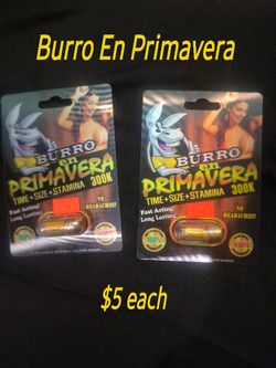 Rhino Burro En Primavera