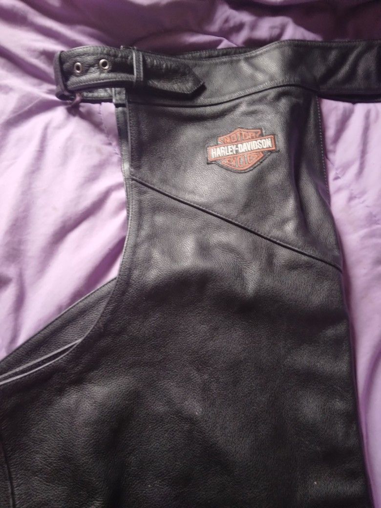 harley davidson chaps