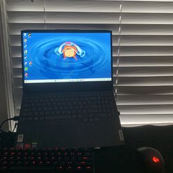 Gaming Laptop/setup 
