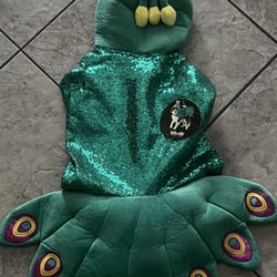 Dog Halloween 🎃Costume