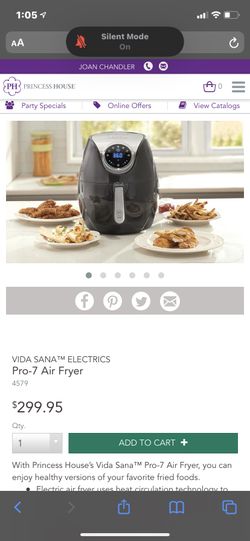 Air fryer princess house deals