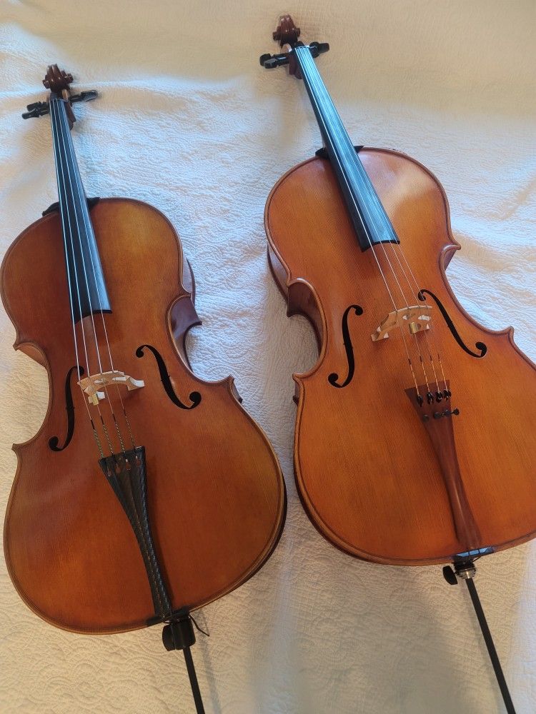Musical instrument lessons