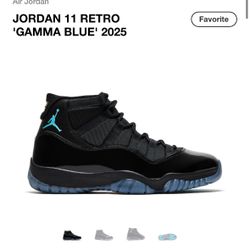 Jordan 11 Gammas Size 14