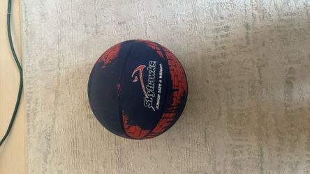 Skyhawks basketball