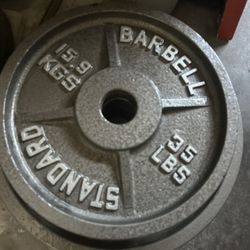 35 LB Weights 