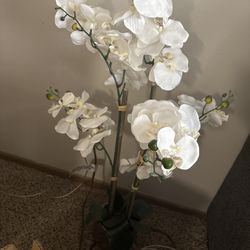 Faux Plant
