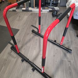 SolidFit 2 in 1 Dip Bars **Priced to sell quick**