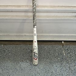 Cat 7 31inch Baseball Bat