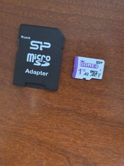 1tb SD CARD GAME