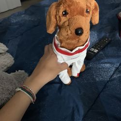 Dog From Guardian Of The Galaxy