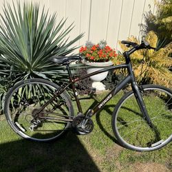 Specialized   Hybrid 