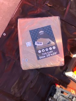 Tarp