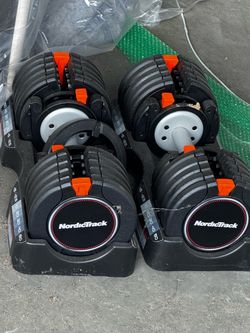 Nordic track weights