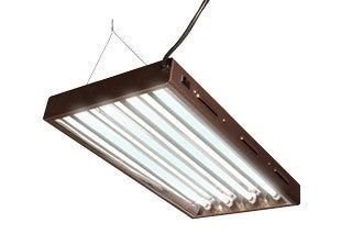 One T5 Grow Lights.