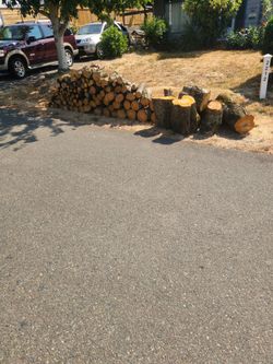Fresh cut cherry wood