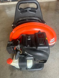 Echo Blower