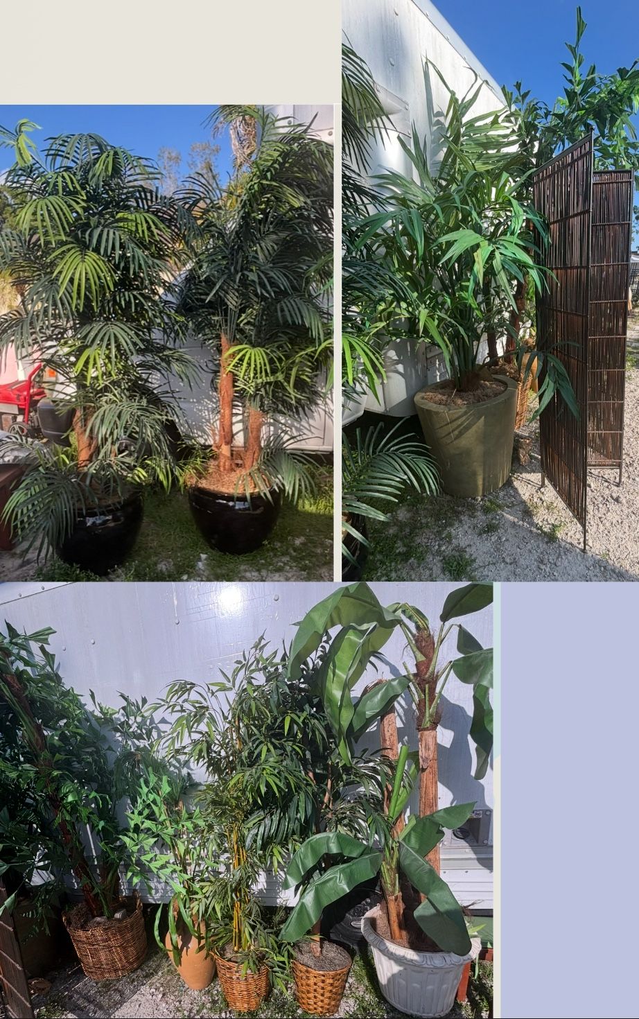 Artificial Silk Trees , Plants 