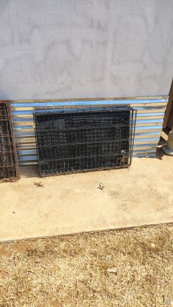 Dog kennels